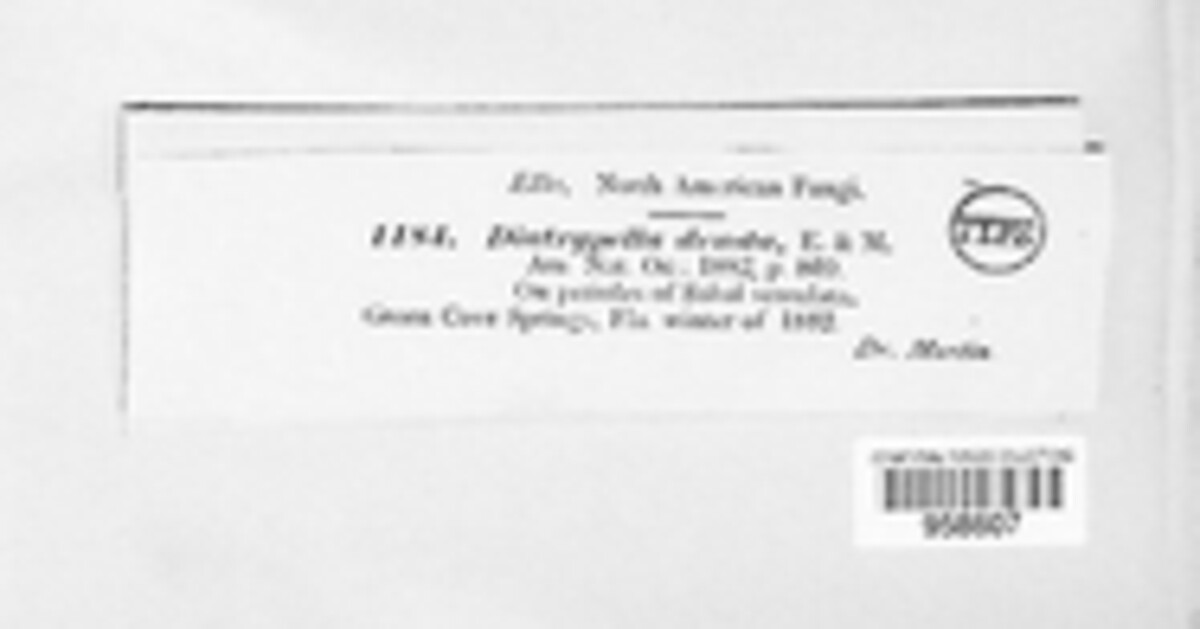Cryptovalsa deusta image